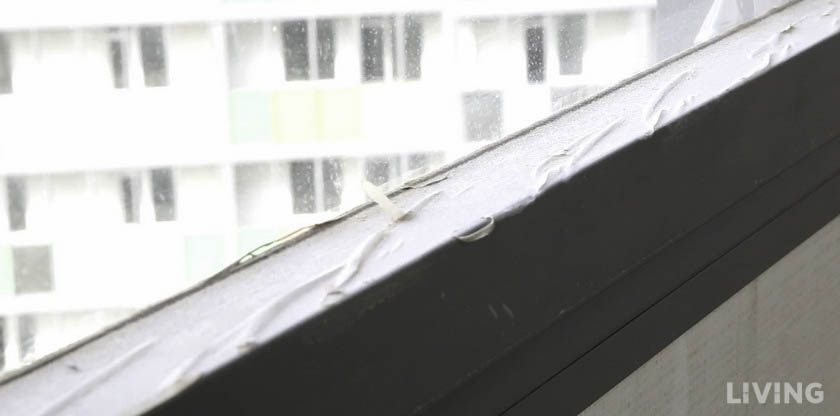 Приемка квартиры в ЖК «Краски лета»: подвели стеклопакеты