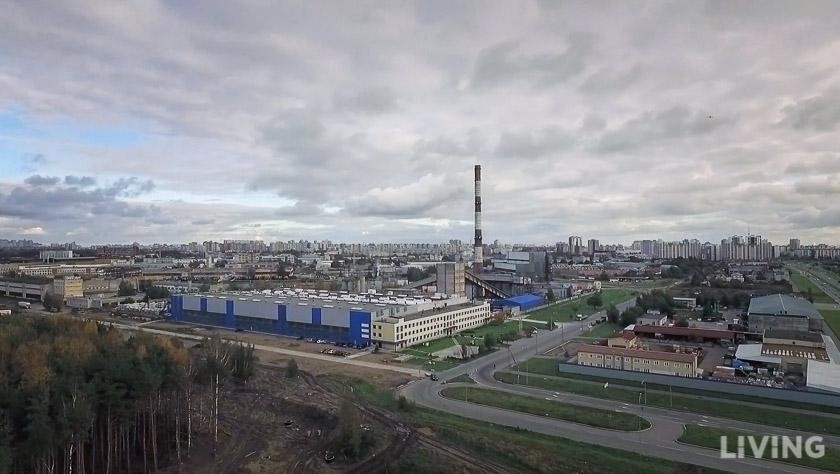 Где в Петербурге жить хорошо: выбираем район с благоприятной экологией