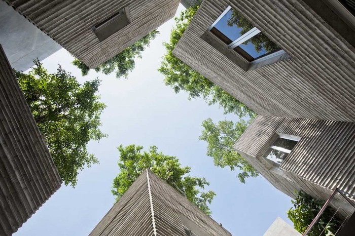 деревья на крыше зданий